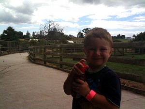 zoo-farm zoo-farm